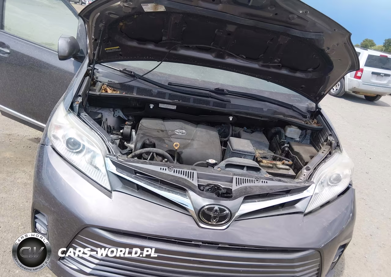 2019 Toyota Sienna Xle 8 Passenger VIN:5TDYZ3DC6KS969798 - 10