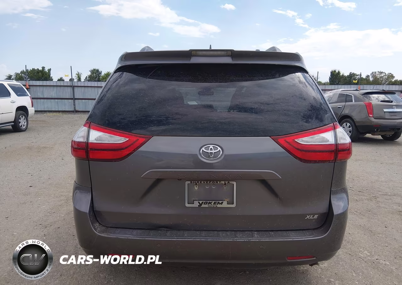 2019 Toyota Sienna Xle 8 Passenger VIN:5TDYZ3DC6KS969798 - 16