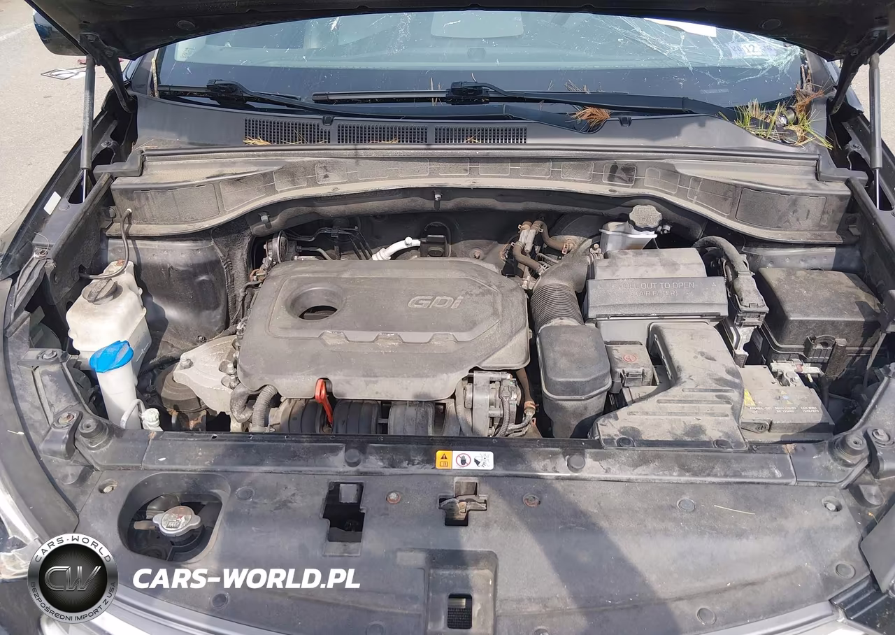 2018 Hyundai Santa Fe Sport 2.4L VIN:5XYZUDLB6JG521090 - 10