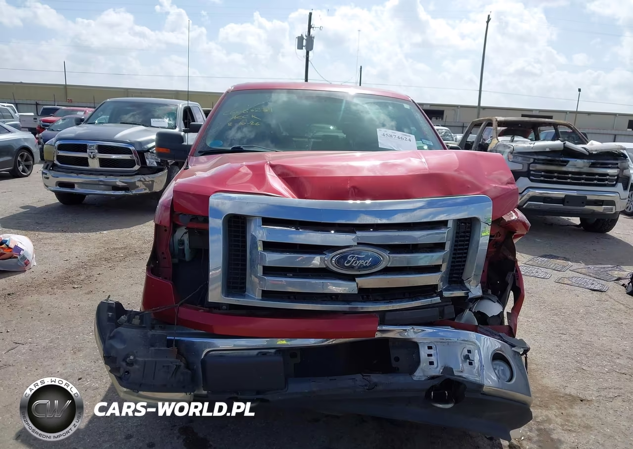2009 Ford F-150 Fx4-Lariat-Xl-Xlt VIN:1FTPX14V69FB28646 - 12