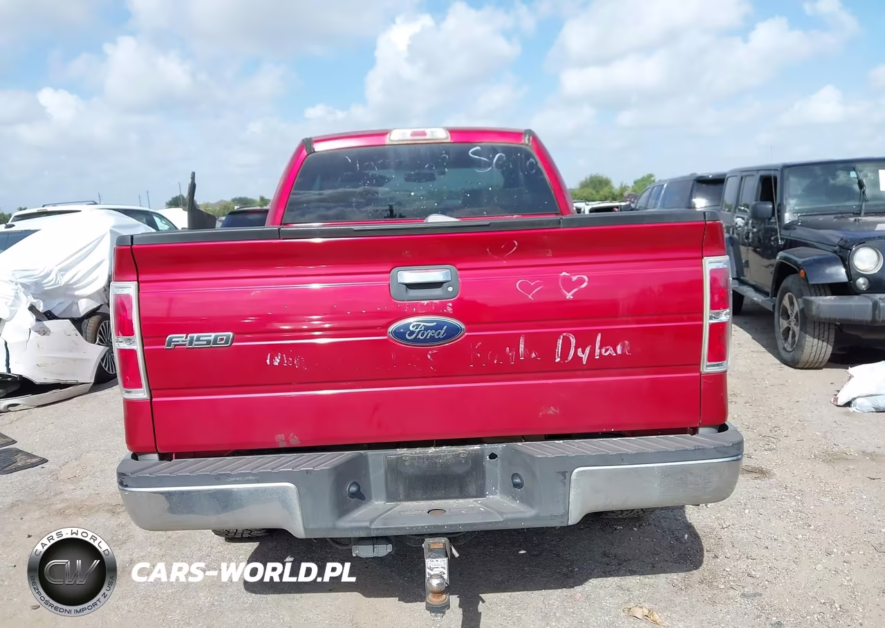 2009 Ford F-150 Fx4-Lariat-Xl-Xlt VIN:1FTPX14V69FB28646 - 16