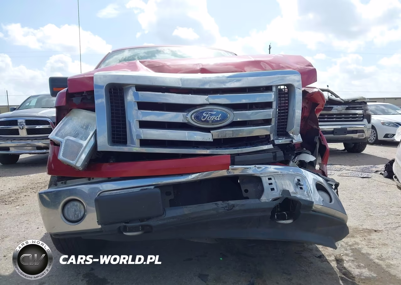 2009 Ford F-150 Fx4-Lariat-Xl-Xlt VIN:1FTPX14V69FB28646 - 6
