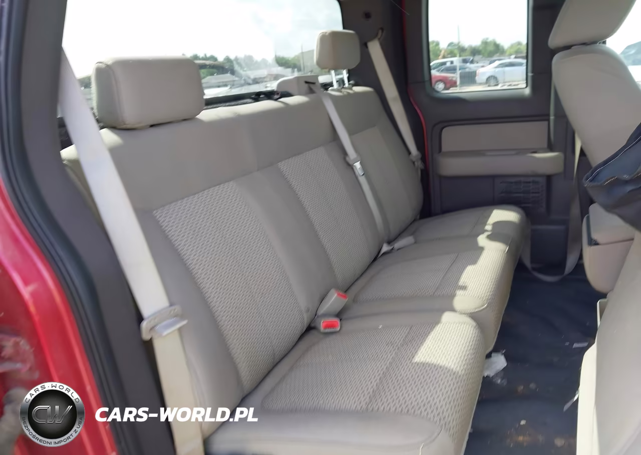 2009 Ford F-150 Fx4-Lariat-Xl-Xlt VIN:1FTPX14V69FB28646 - 8