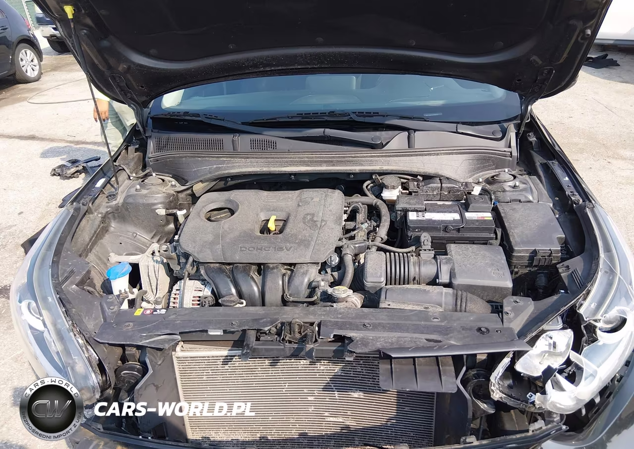 2019 Kia Forte Lxs VIN:3KPF24AD1KE089410 - 10