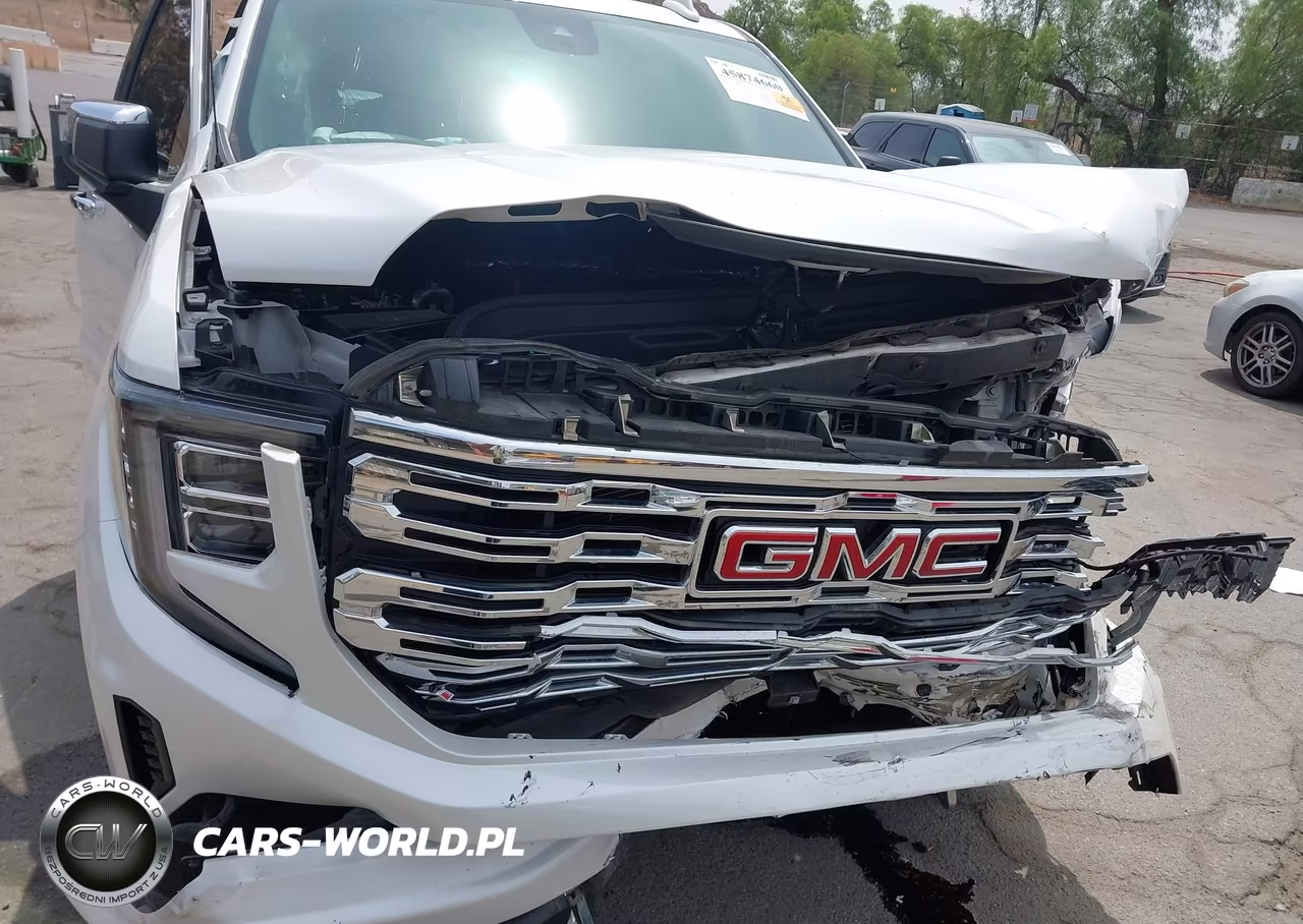 2023 GMC Sierra 1500 4Wd Short Box Denali VIN:1GTUUGEL3PZ183112 - 19