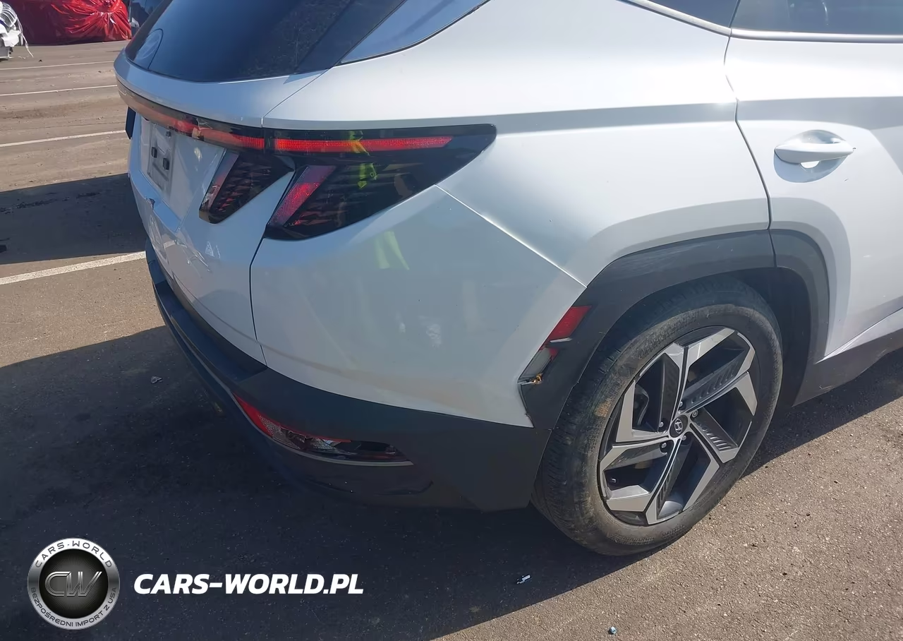 2024 Hyundai Tucson Sel VIN:5NMJF3DE4RH368060 - 21