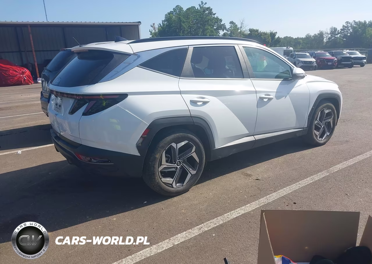 2024 Hyundai Tucson Sel VIN:5NMJF3DE4RH368060 - 4