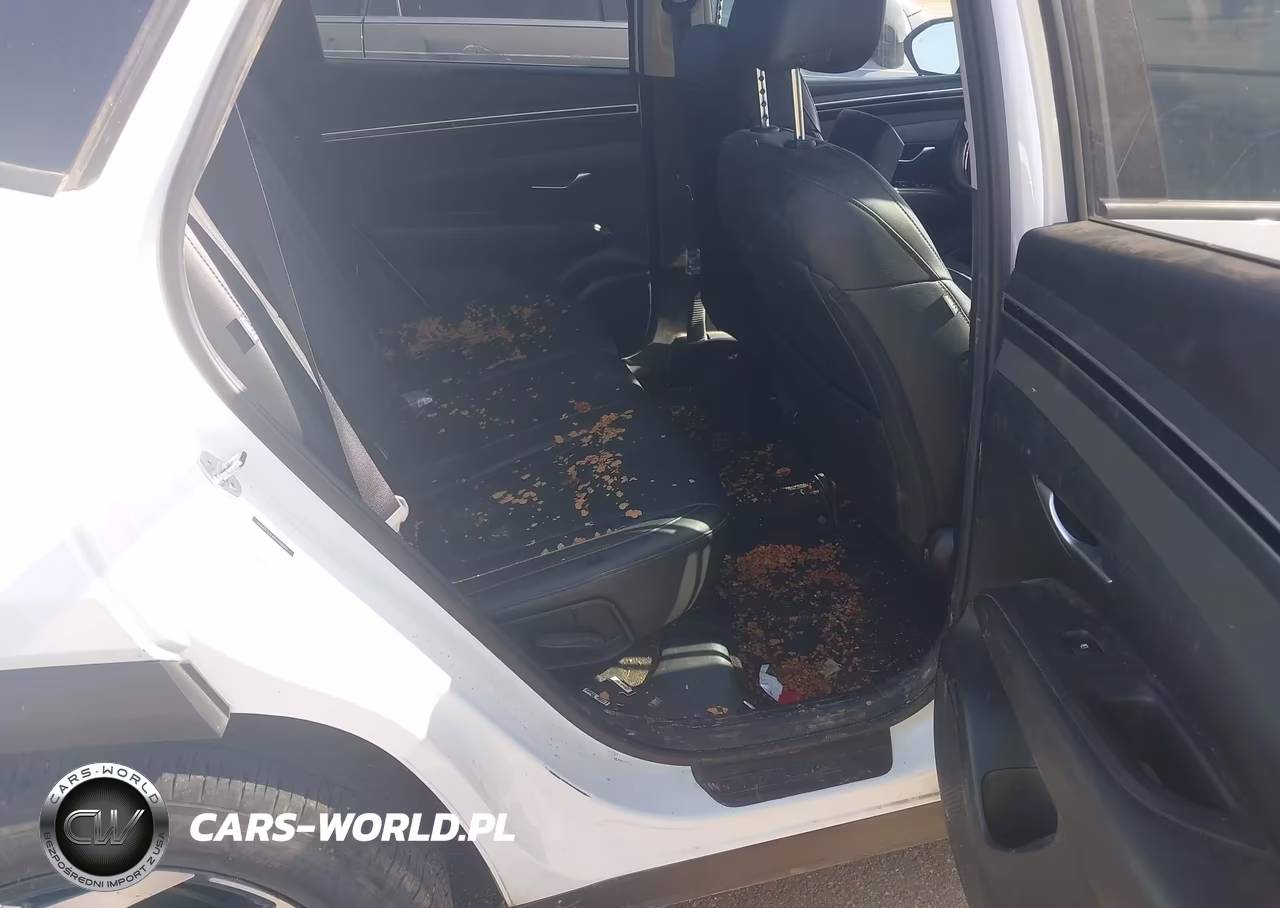 2024 Hyundai Tucson Sel VIN:5NMJF3DE4RH368060 - 8