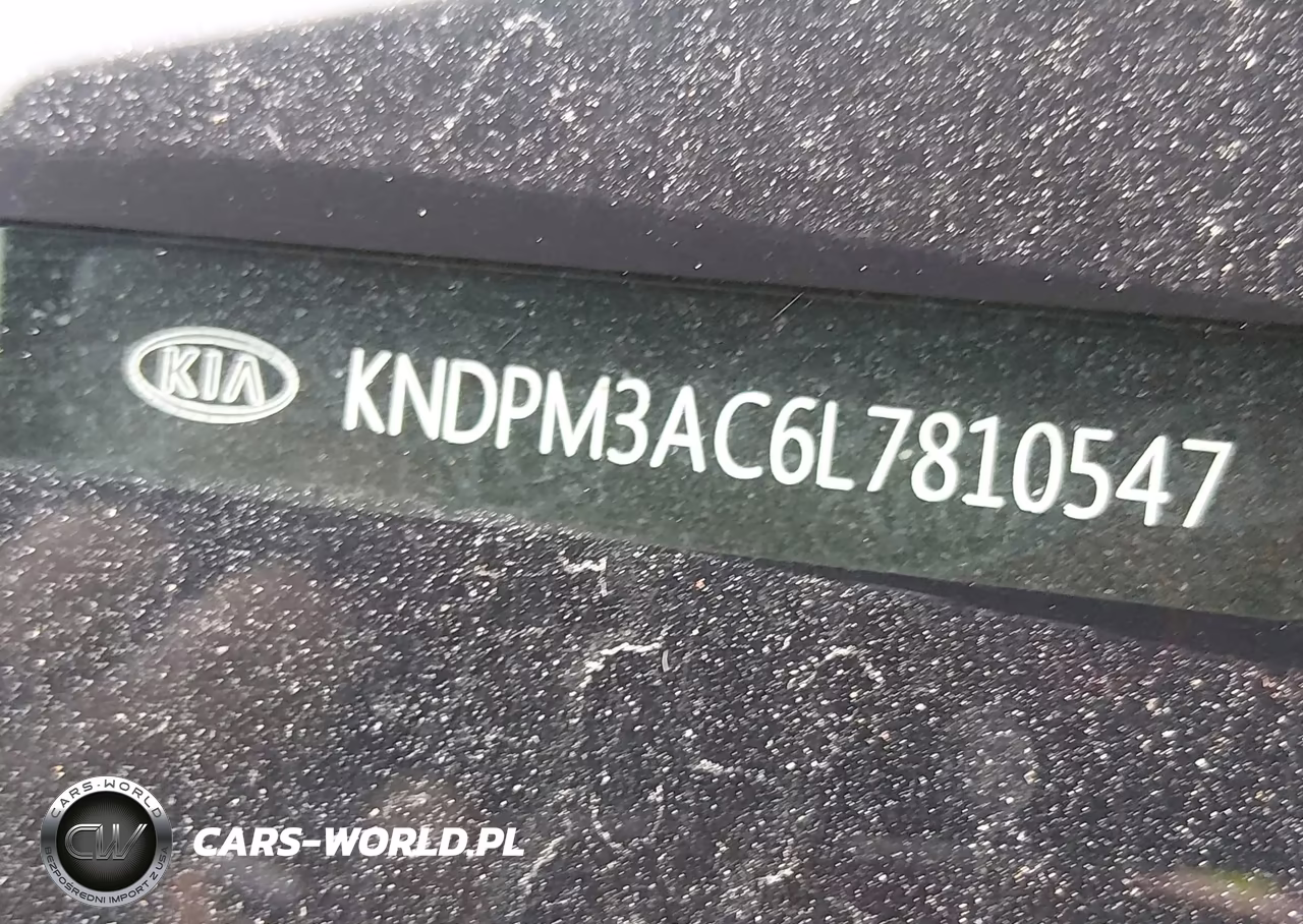 2020 Kia Sportage Lx VIN:KNDPM3AC6L7810547 - 9