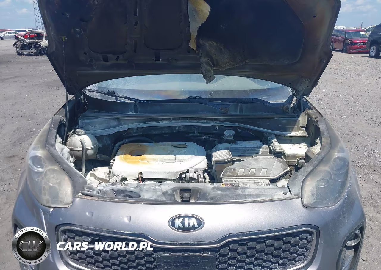 2017 Kia Sportage Ex VIN:KNDPNCAC2H7204280 - 10