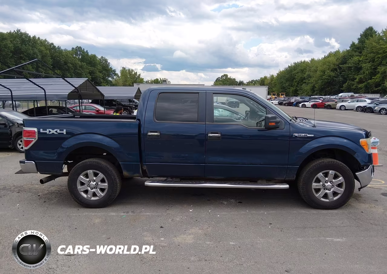 2013 Ford F-150 Xlt VIN:1FTFW1EF4DFA78439 - 13