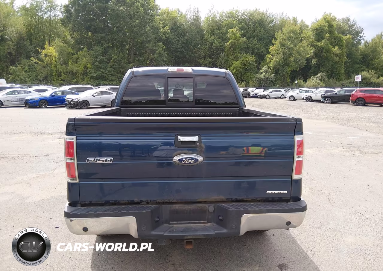 2013 Ford F-150 Xlt VIN:1FTFW1EF4DFA78439 - 16