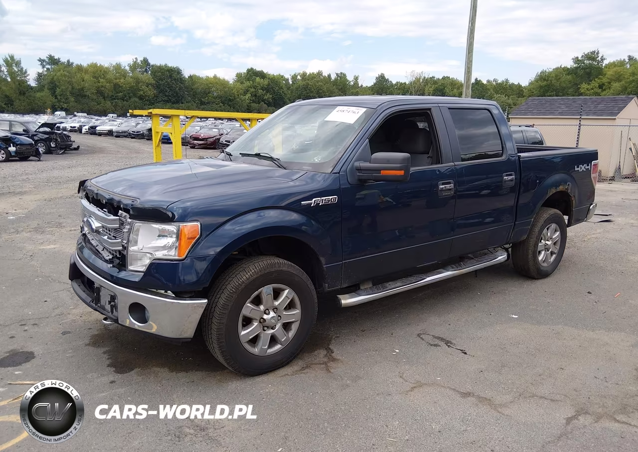 2013 Ford F-150 Xlt VIN:1FTFW1EF4DFA78439 - 2
