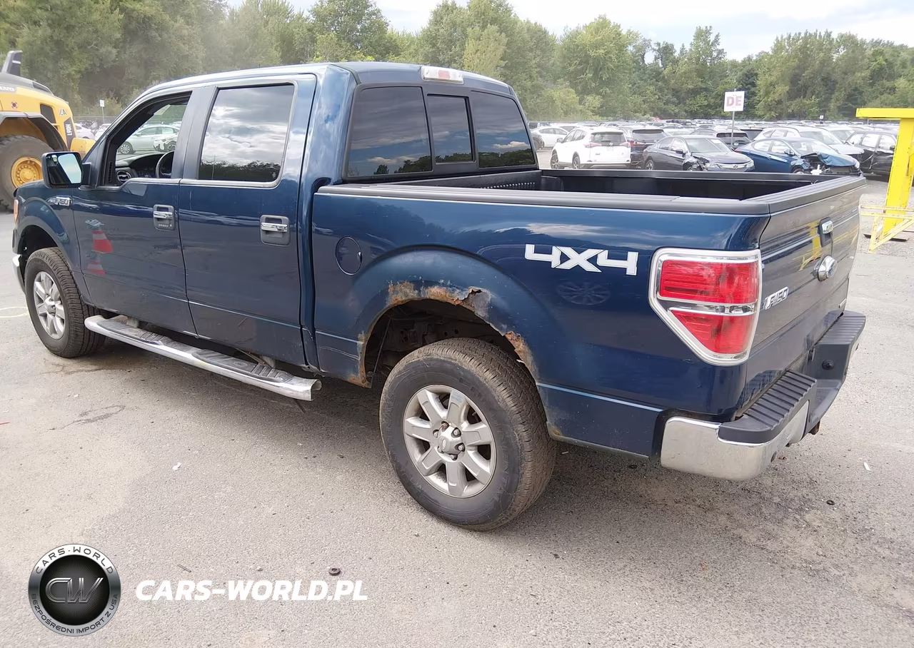 2013 Ford F-150 Xlt VIN:1FTFW1EF4DFA78439 - 3