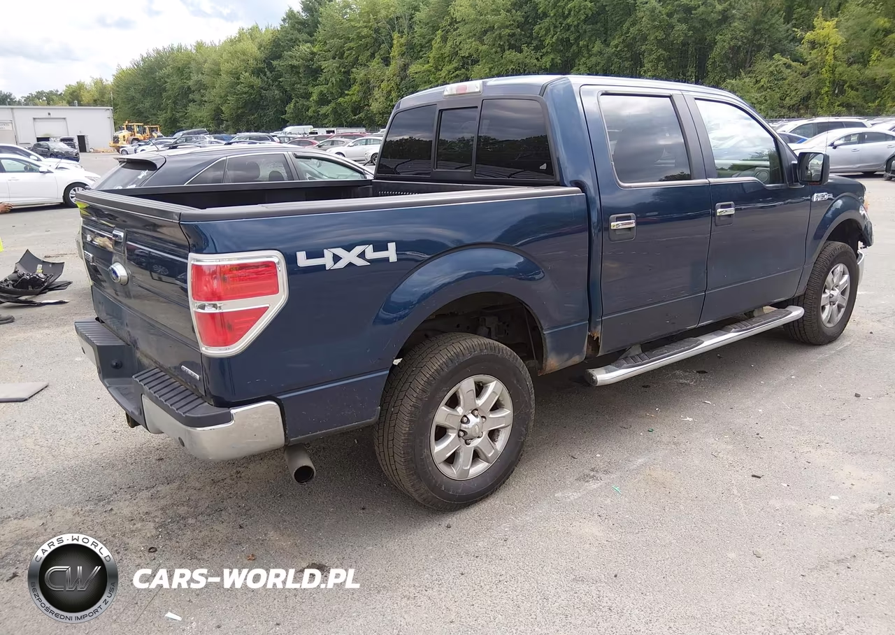 2013 Ford F-150 Xlt VIN:1FTFW1EF4DFA78439 - 4