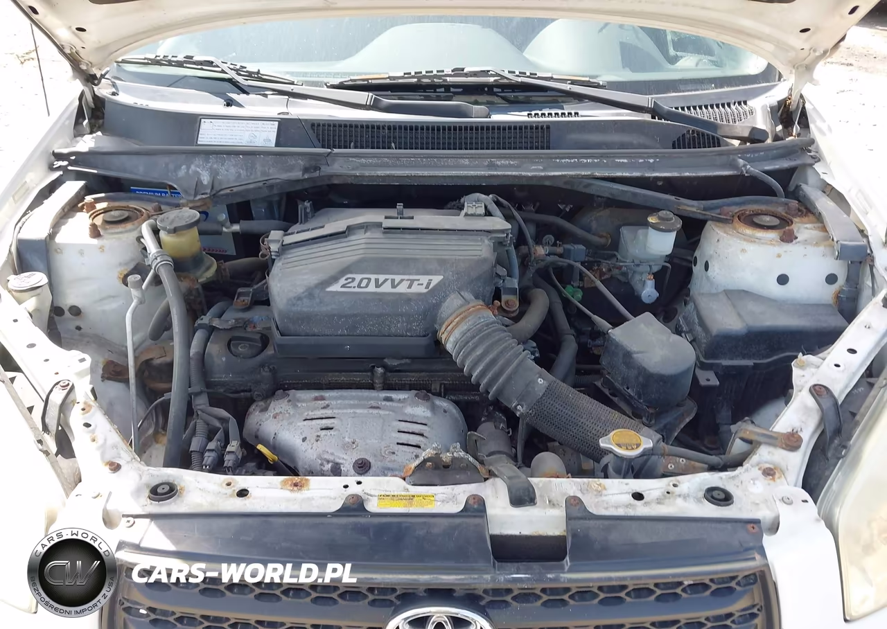 2001 Toyota Rav4 VIN:JTEHH20V410098787 - 10