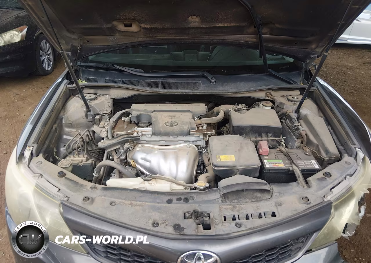2013 Toyota Camry Se VIN:4T1BF1FK4DU258358 - 10