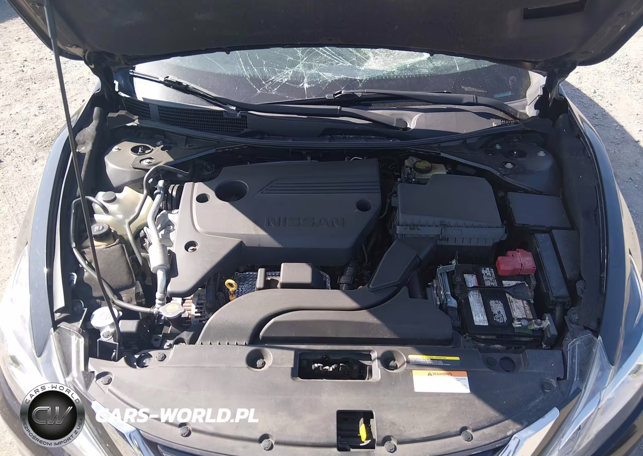 2016 Nissan Altima 2.5 Sl VIN:1N4AL3AP1GC129579 - 10
