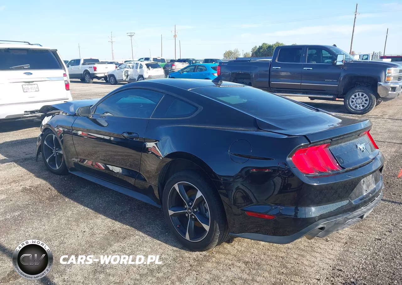 2022 Ford Mustang Ecoboost Fastback VIN:1FA6P8TH8N5147754 - 3