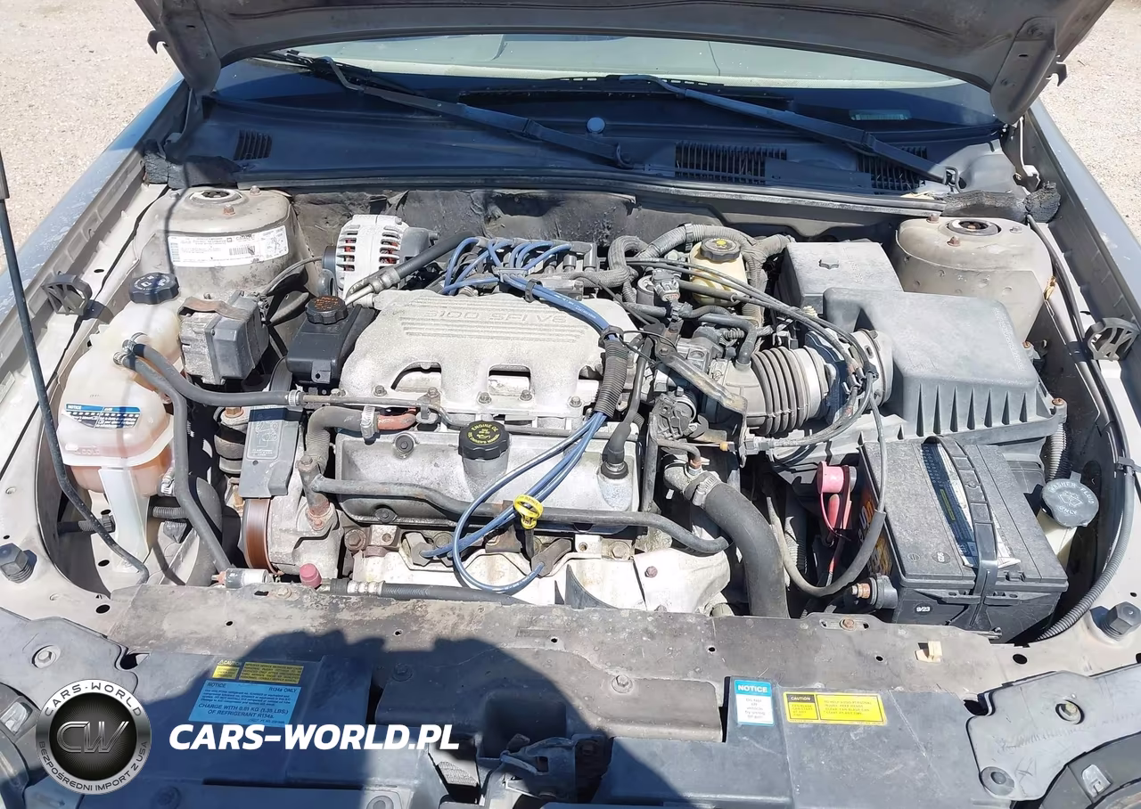 1999 Chevrolet Malibu VIN:1G1ND52M9X6141785 - 10