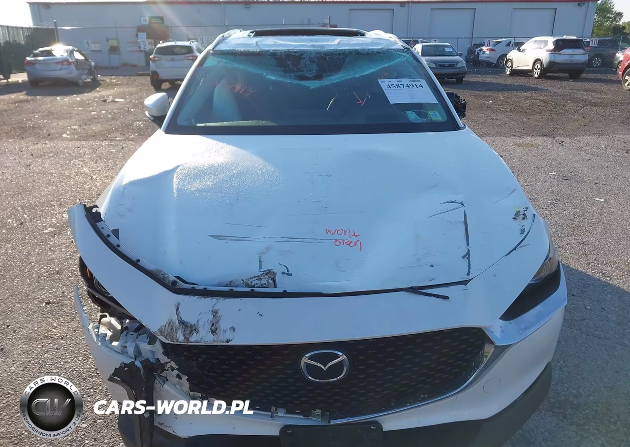 2021 Mazda Cx-30 Premium VIN:3MVDMBDM4MM217714 - 12