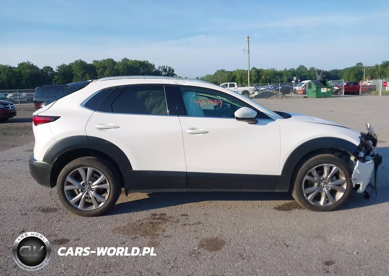 2021 Mazda Cx-30 Premium VIN:3MVDMBDM4MM217714 - 13
