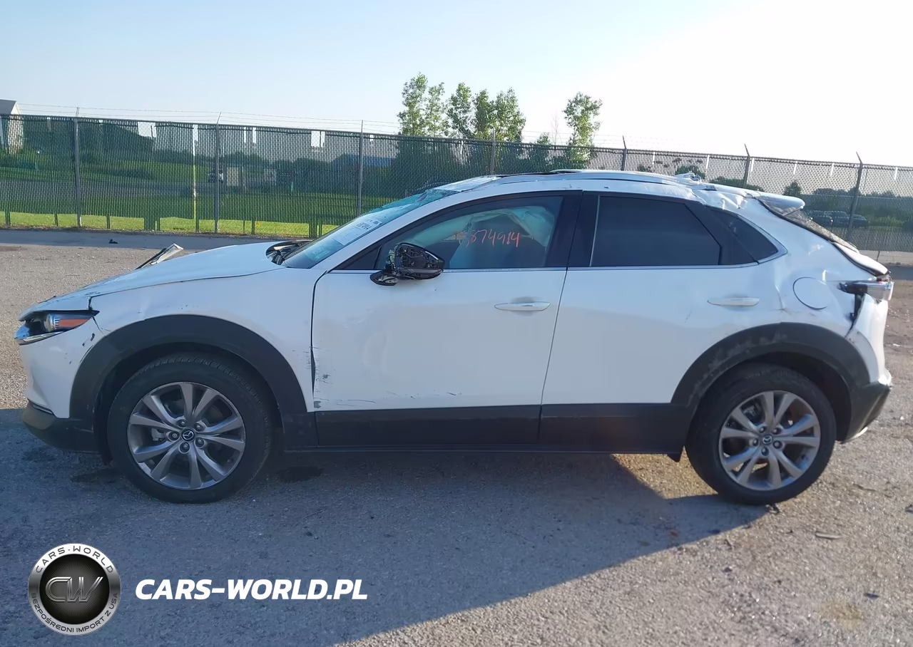 2021 Mazda Cx-30 Premium VIN:3MVDMBDM4MM217714 - 14