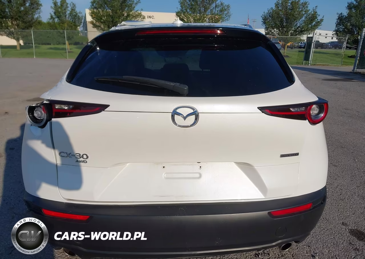 2021 Mazda Cx-30 Premium VIN:3MVDMBDM4MM217714 - 16