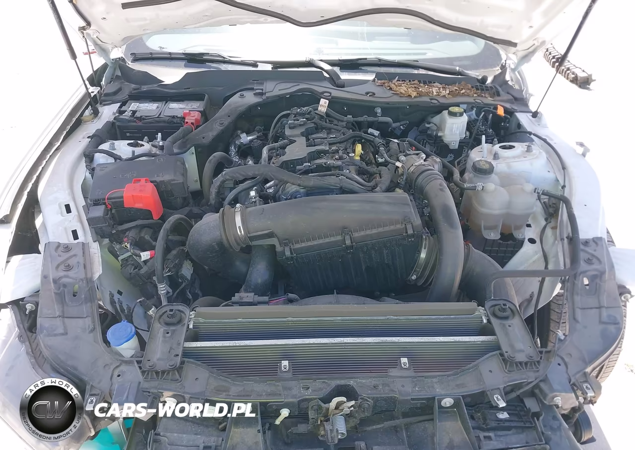 2024 Ford Mustang Ecoboost Premium Fastback VIN:1FA6P8TH4R5145702 - 10