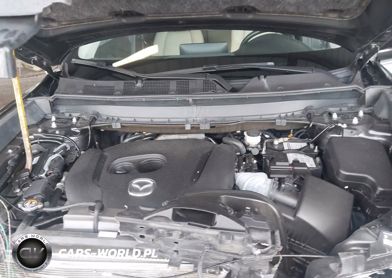 2021 Mazda Cx-9 Touring VIN:JM3TCACY4M0520842 - 10