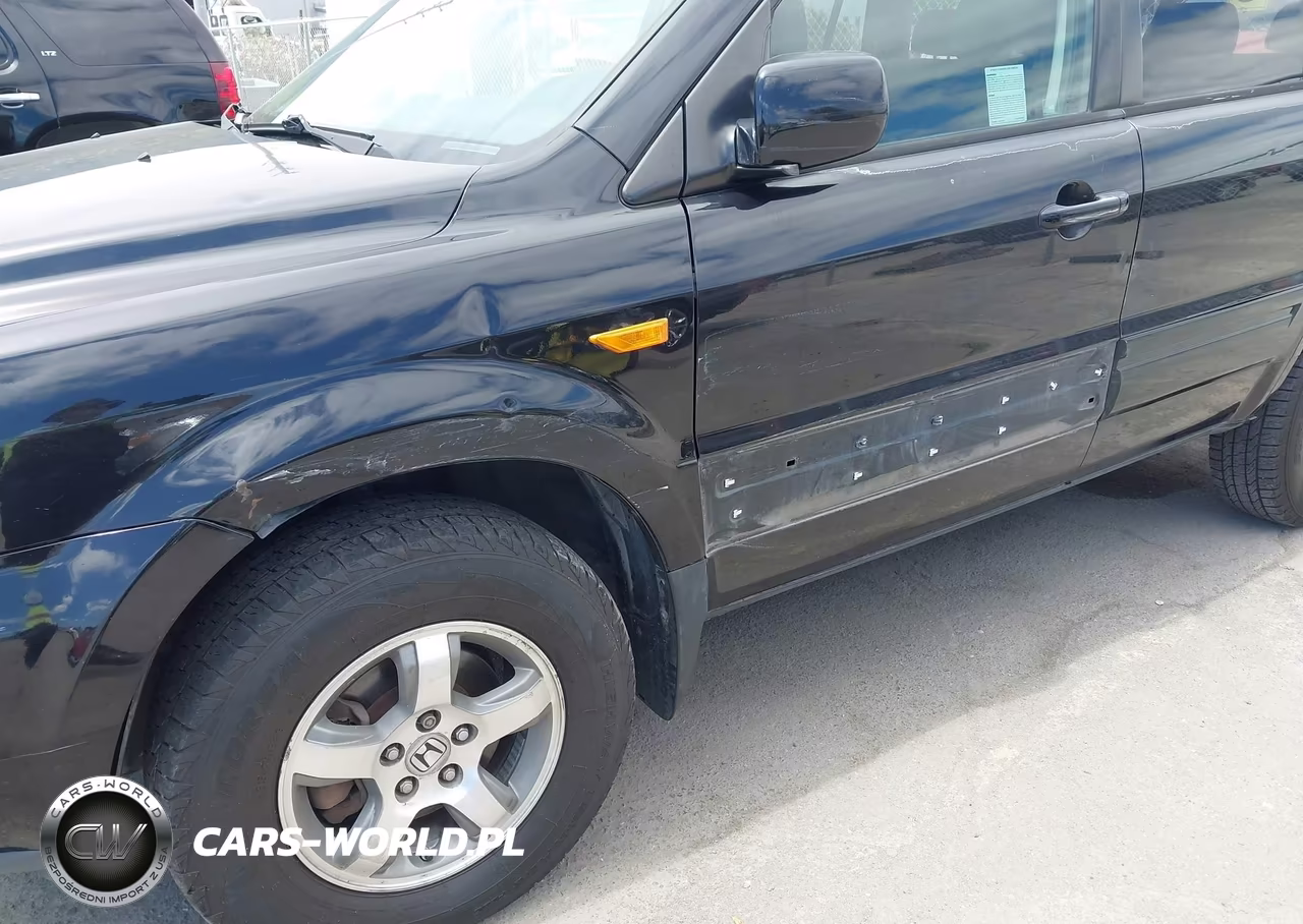 2006 Honda Pilot Ex VIN:5FNYF18466B006992 - 6
