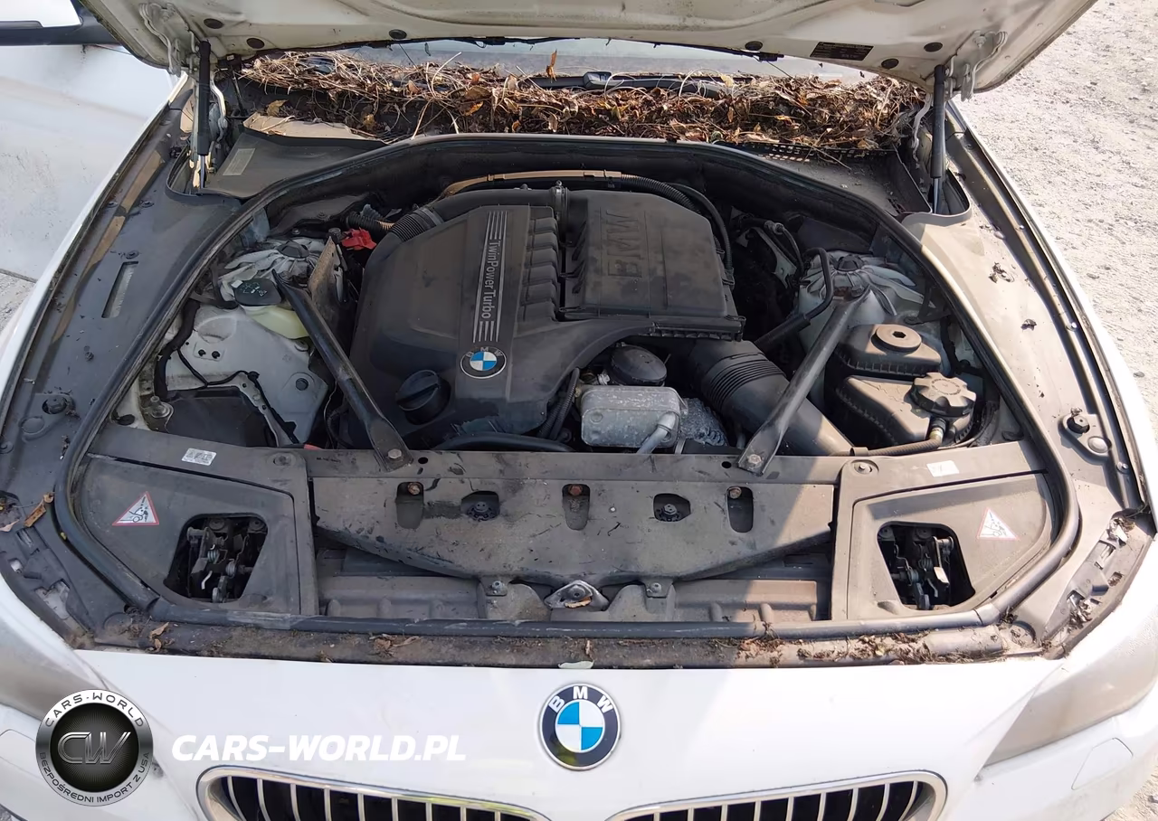 2014 BMW 535I xDrive VIN:WBA5B3C58ED533087 - 10