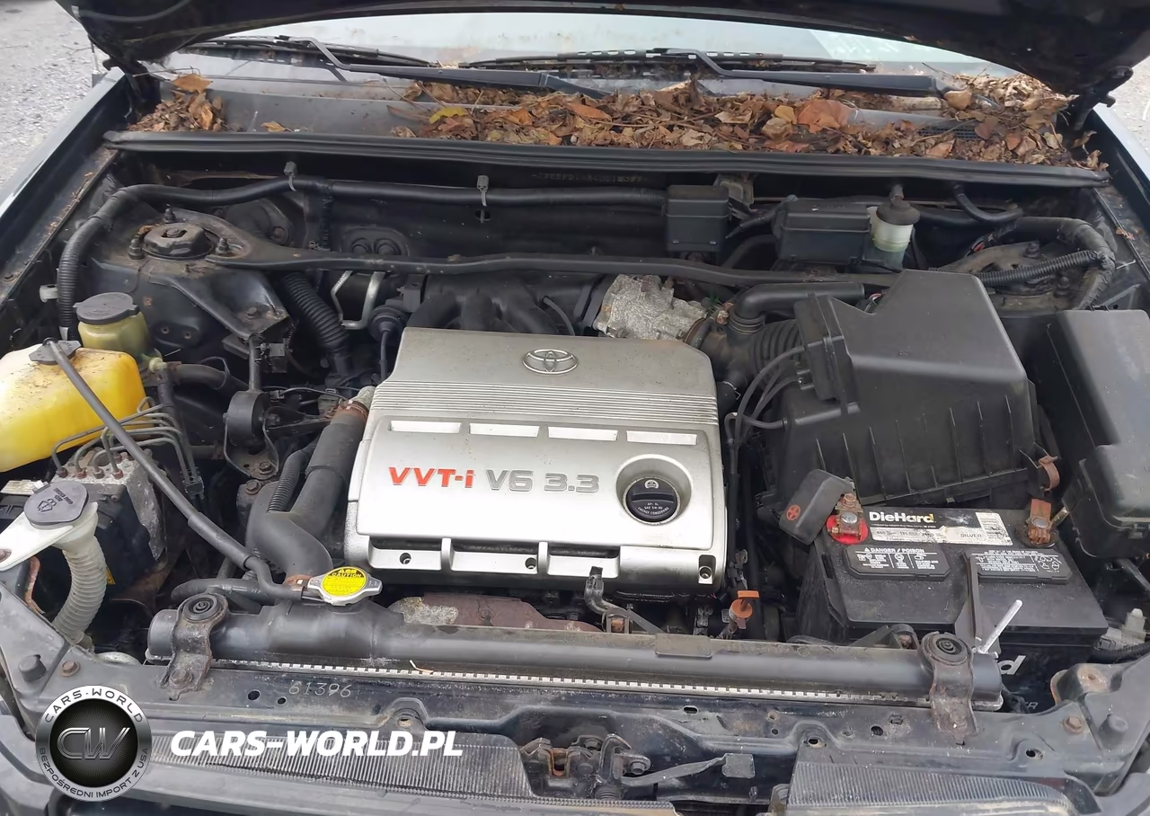 2004 Toyota Highlander V6 VIN:JTEEP21A840012399 - 10