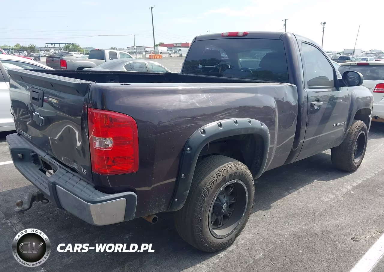 2008 Chevrolet Silverado 1500 Work Truck VIN:1GCEC14X88Z217944 - 4