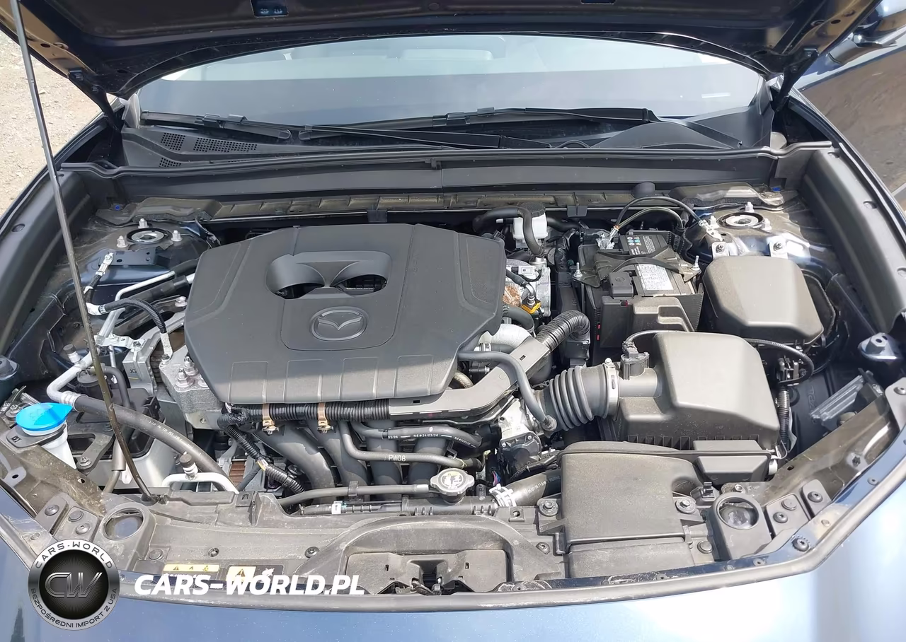 2024 Mazda Cx-30 2.5 S Preferred Package VIN:3MVDMBCM8RM720252 - 10