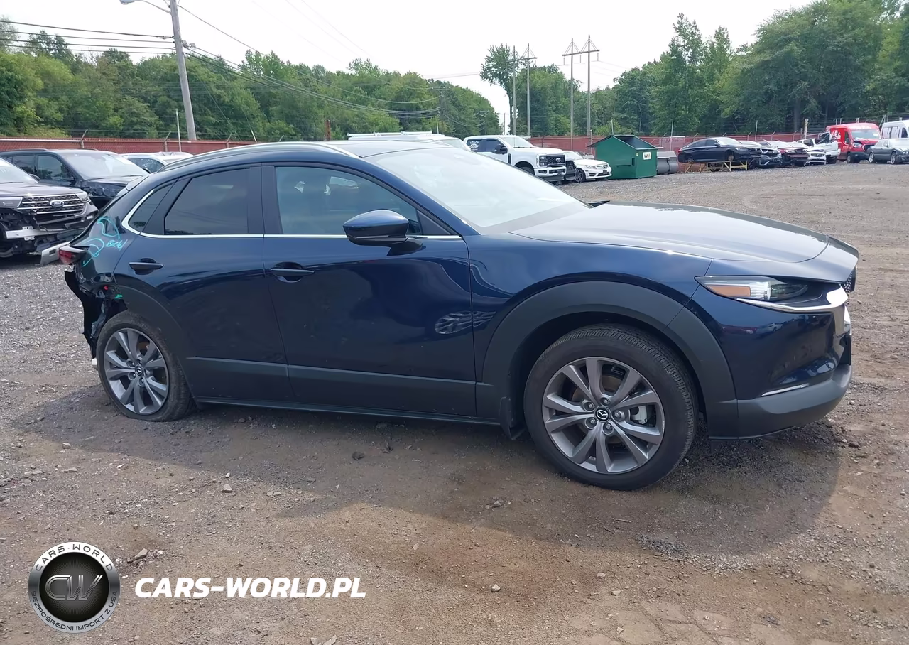 2024 Mazda Cx-30 2.5 S Preferred Package VIN:3MVDMBCM8RM720252 - 17