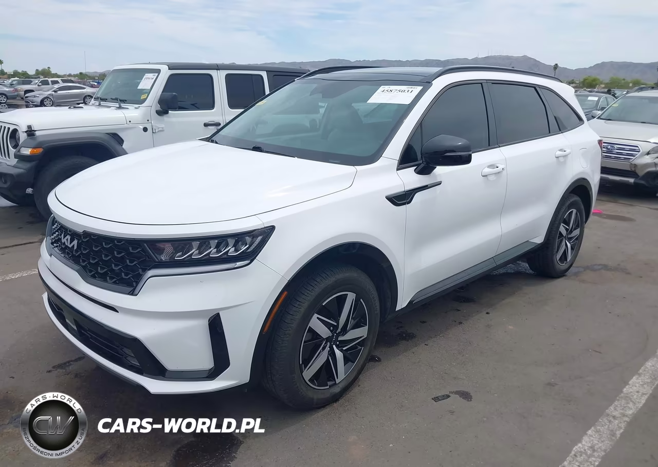 2022 Kia Sorento Ex VIN:5XYRH4LF9NG142906 - 2