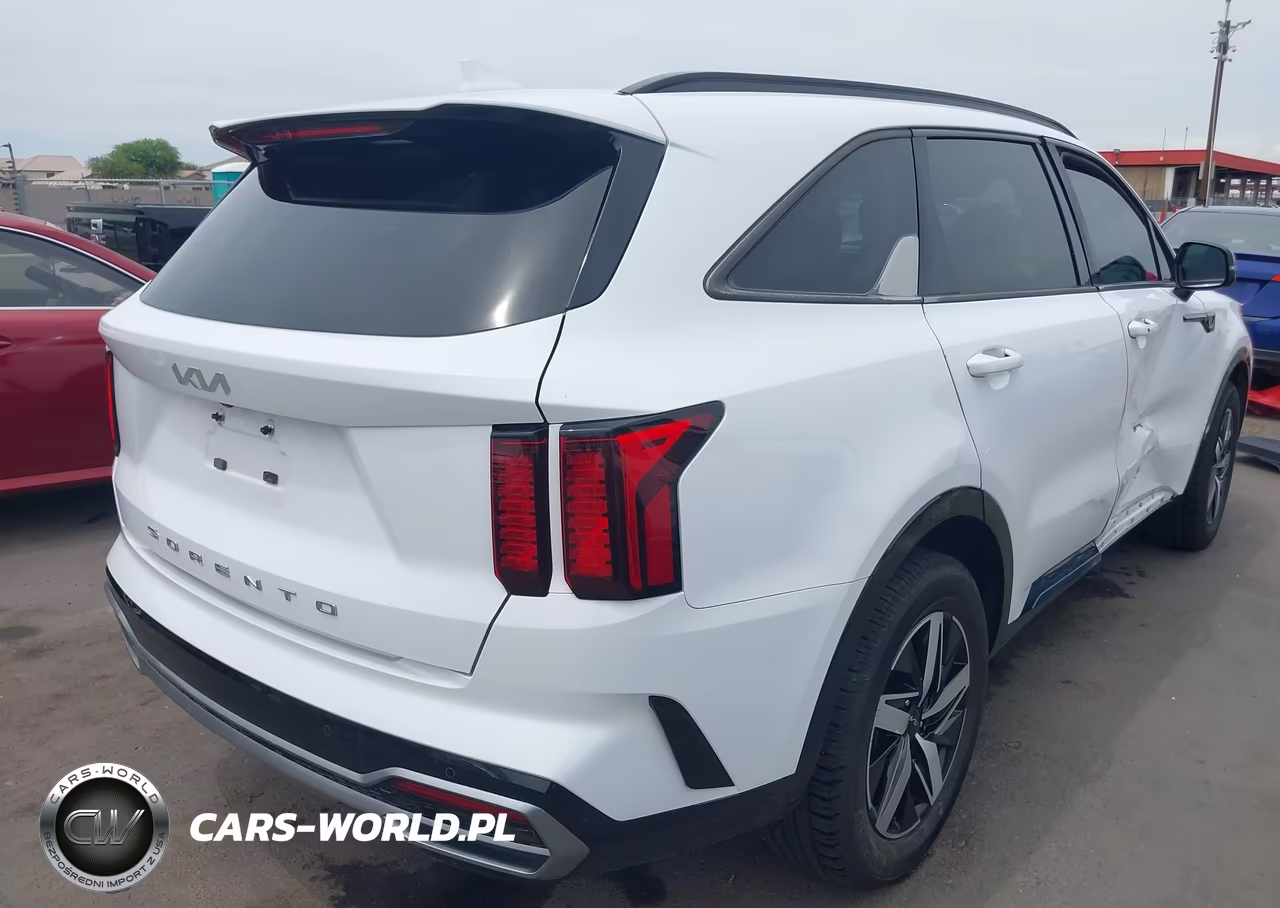 2022 Kia Sorento Ex VIN:5XYRH4LF9NG142906 - 4