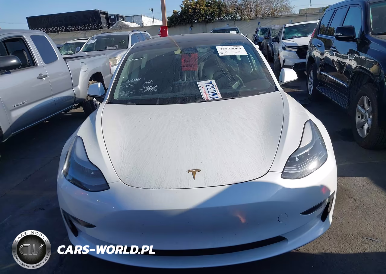 2021 Tesla Model 3 Standard Range Plus Rear-Wheel Drive VIN:5YJ3E1EA3MF940547 - 12