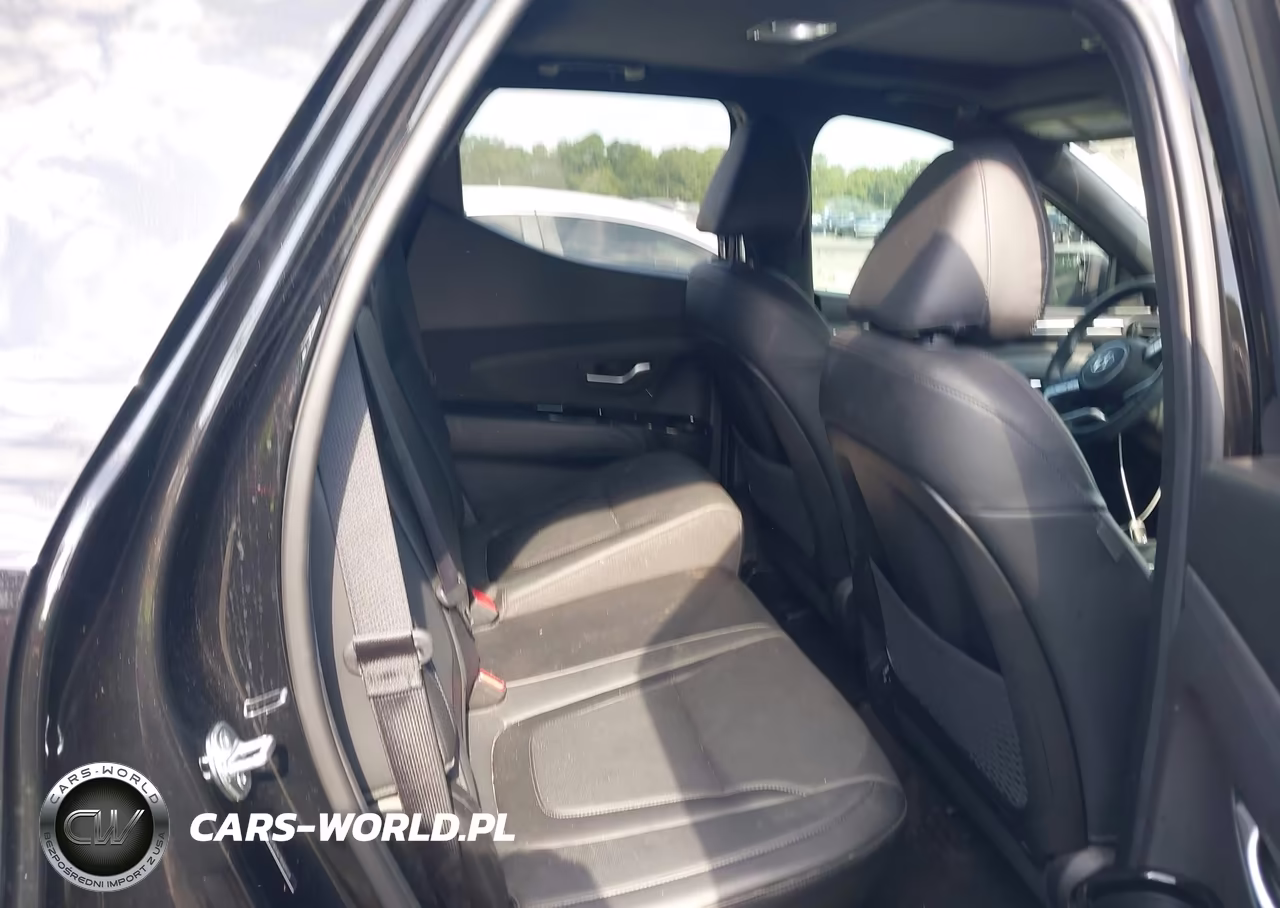 2024 Hyundai Santa Cruz Limited VIN:5NTJEDAF7RH095139 - 8