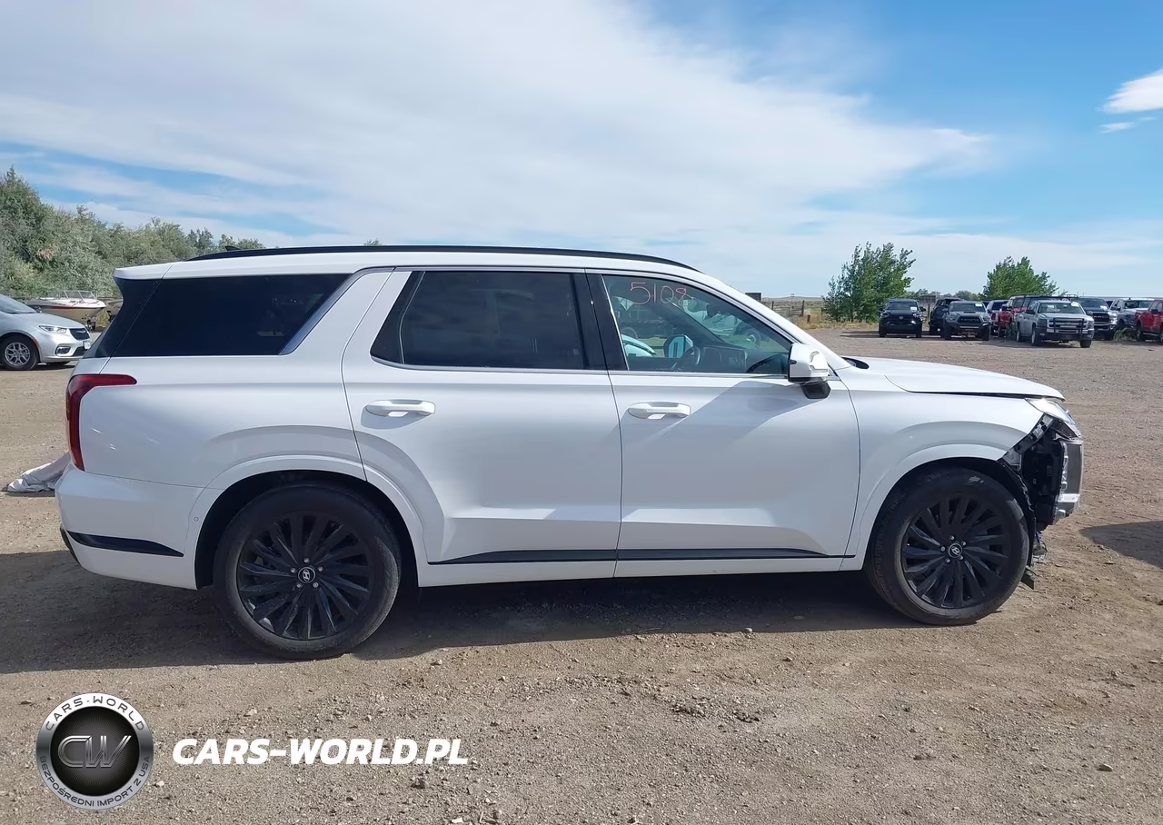 2025 Hyundai Palisade Calligraphy Night Edition VIN:KM8R7DGE9SU942745 - 14