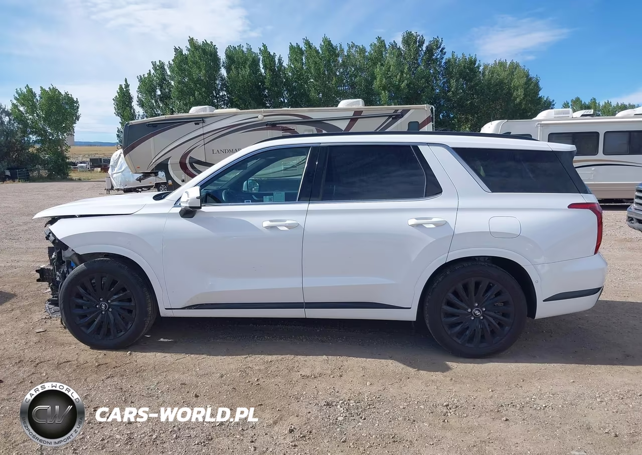 2025 Hyundai Palisade Calligraphy Night Edition VIN:KM8R7DGE9SU942745 - 15
