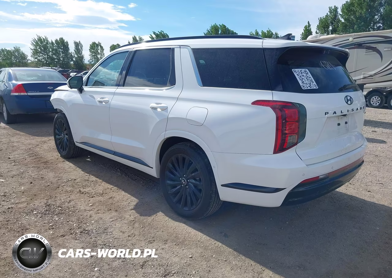 2025 Hyundai Palisade Calligraphy Night Edition VIN:KM8R7DGE9SU942745 - 3