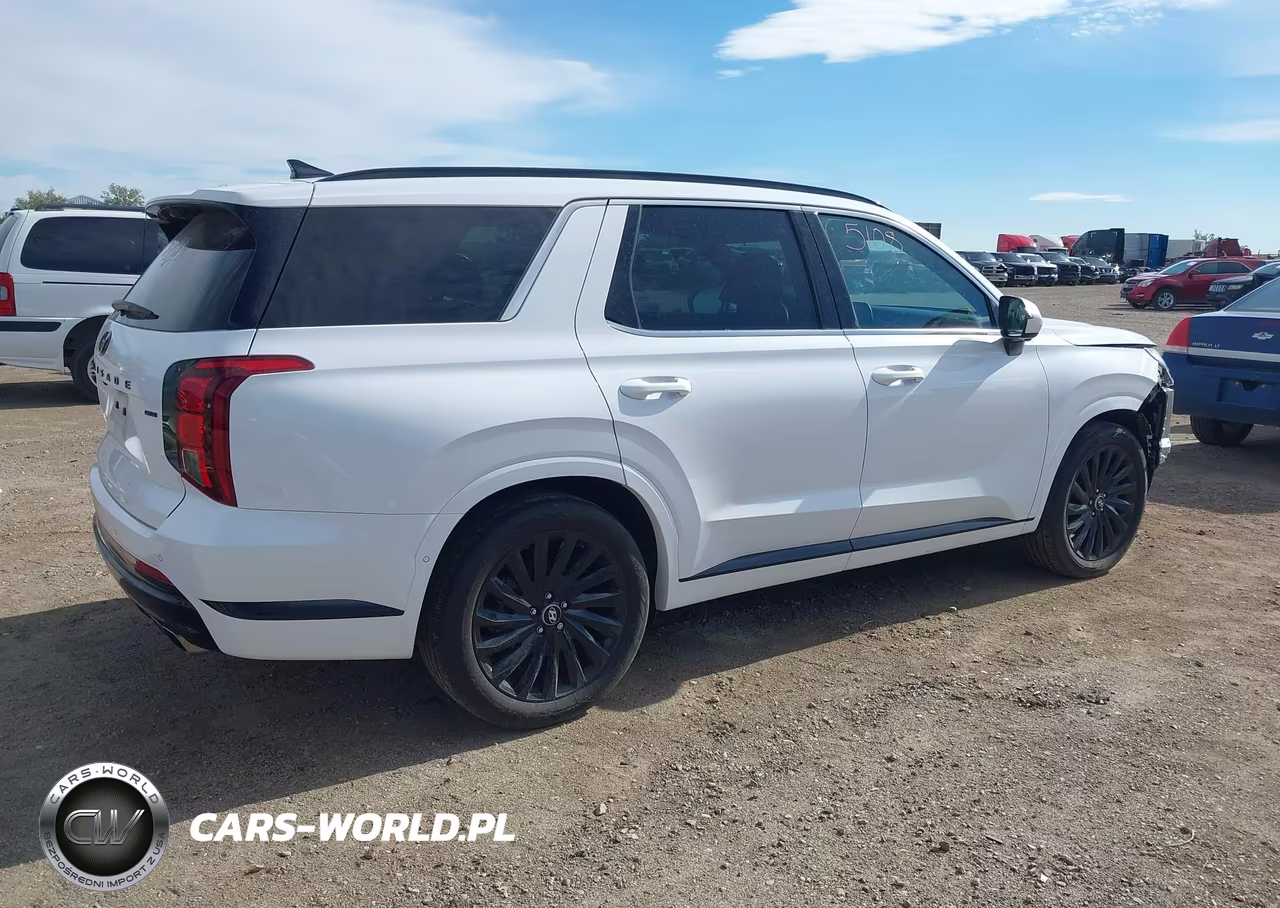 2025 Hyundai Palisade Calligraphy Night Edition VIN:KM8R7DGE9SU942745 - 4