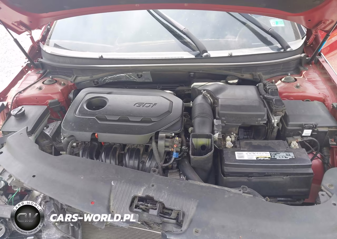 2017 Hyundai Sonata VIN:5NPE24AF8HH488445 - 10