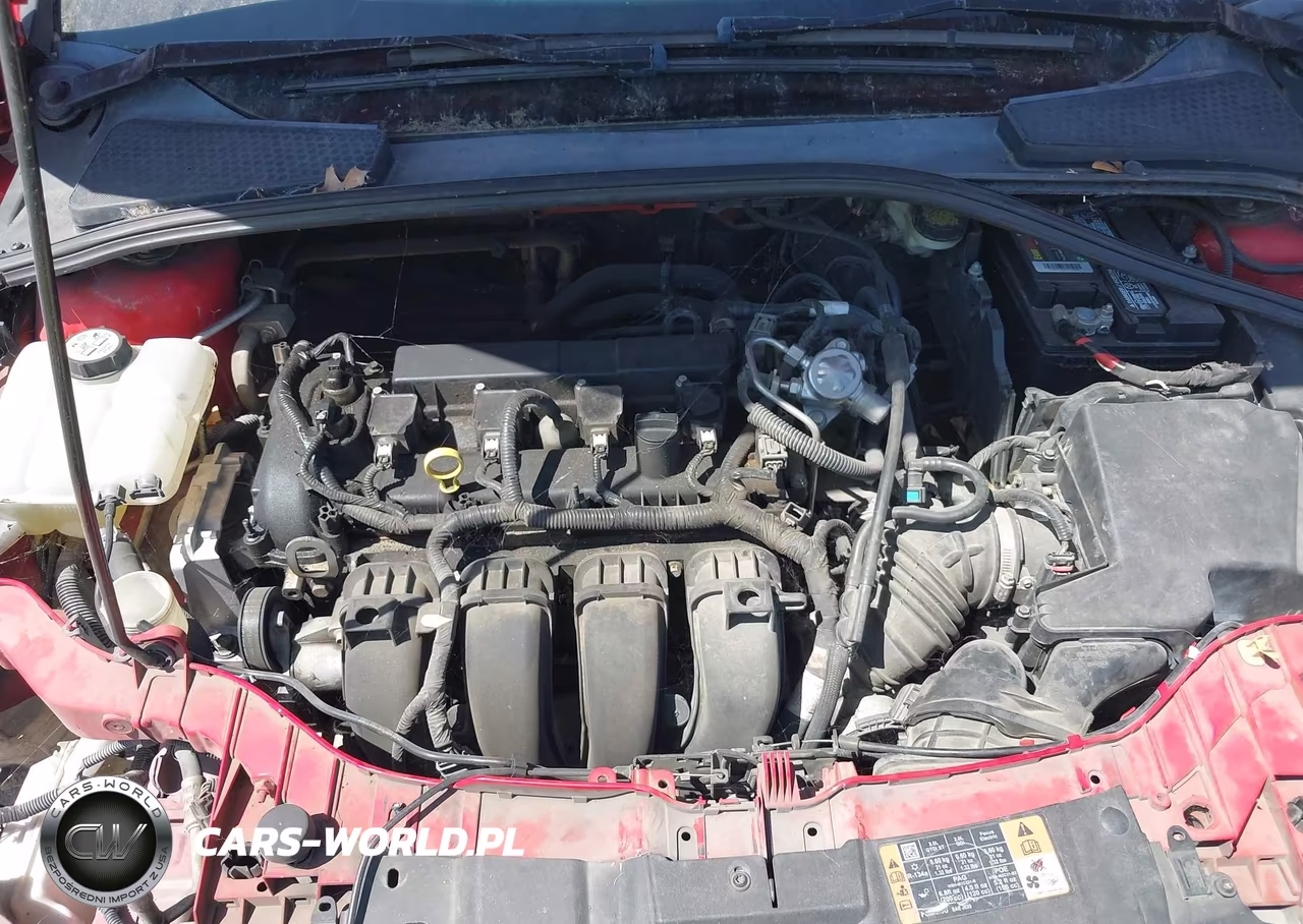 2015 Ford Focus Se VIN:1FADP3K21FL350859 - 10