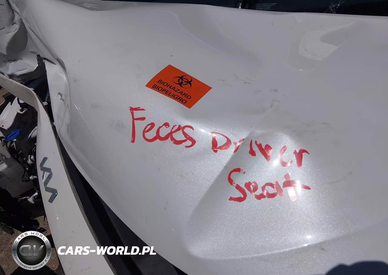 2025 Kia Seltos S VIN:KNDEU2AA5S7724855 - 10