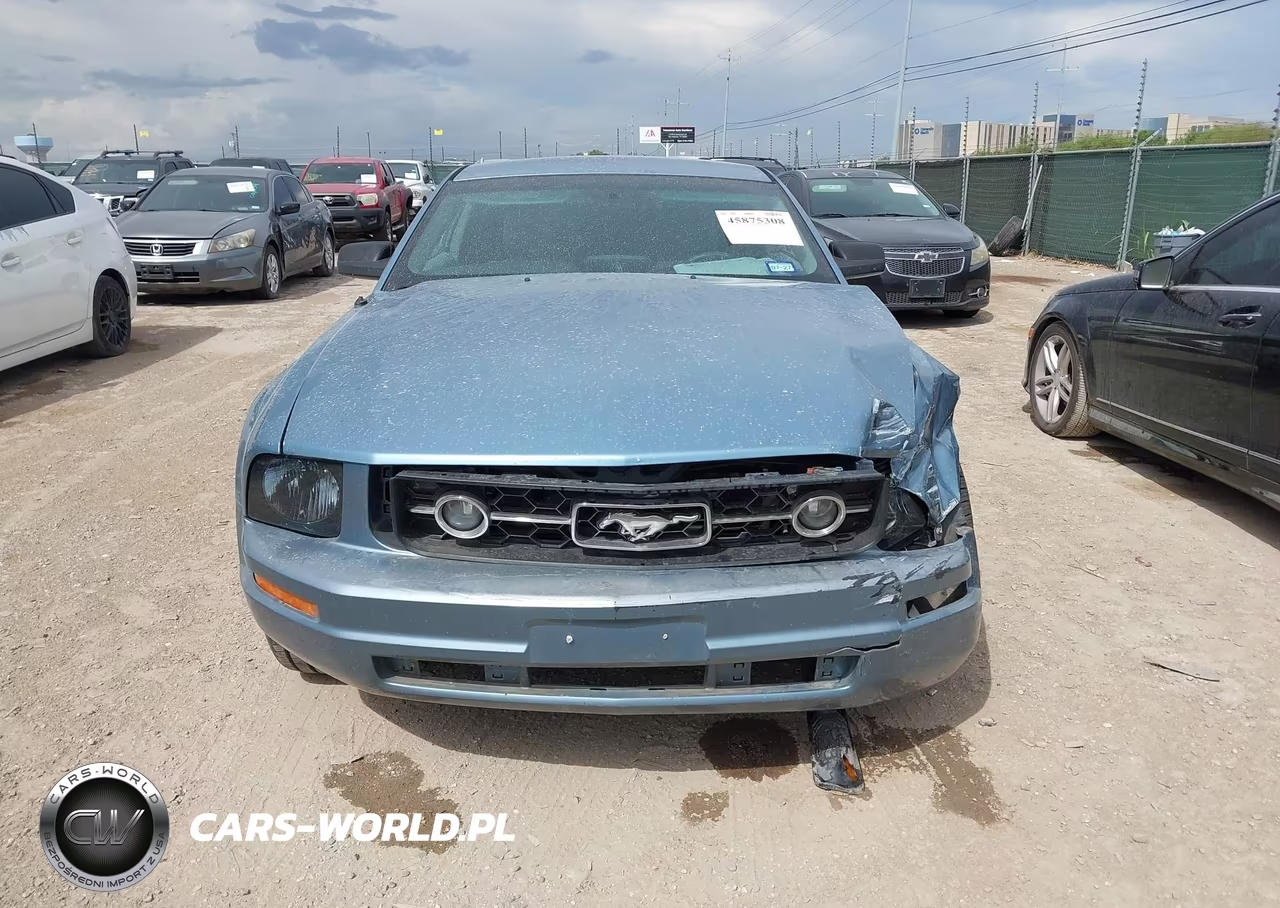 2006 Ford Mustang V6 VIN:1ZVFT80N565116184 - 12
