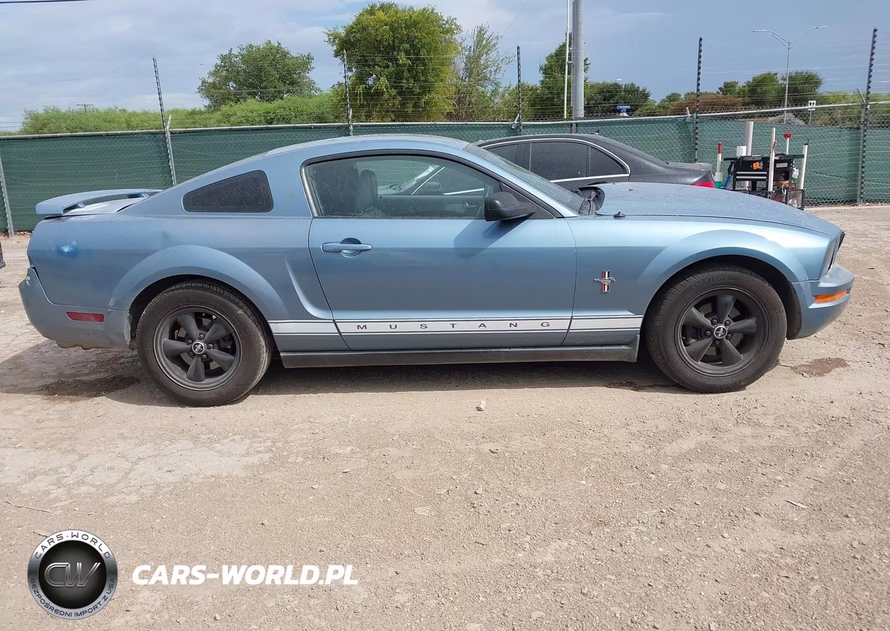 2006 Ford Mustang V6 VIN:1ZVFT80N565116184 - 13