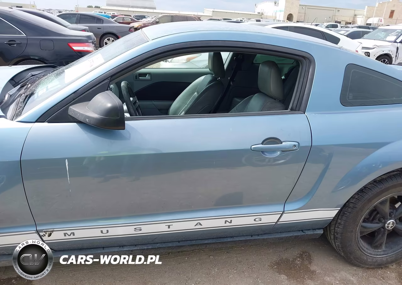 2006 Ford Mustang V6 VIN:1ZVFT80N565116184 - 14